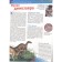 Dinosaurs. Monsters from the past. Baur M.