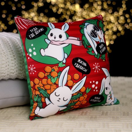 Antistress pillow "Life was a success"-2