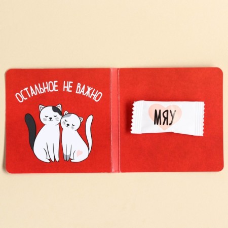 Chewing gum in the postcard “Everything you need”, 1, 36 g.-2
