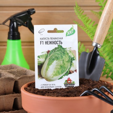 Seeds Cabbage Beijing "Tenderness" F1, 0.1 g Series Hit X3
