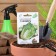 Seeds Cabbage Beijing "Tenderness" F1, 0.1 g Series Hit X3