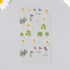Stickers for creativity plastic 