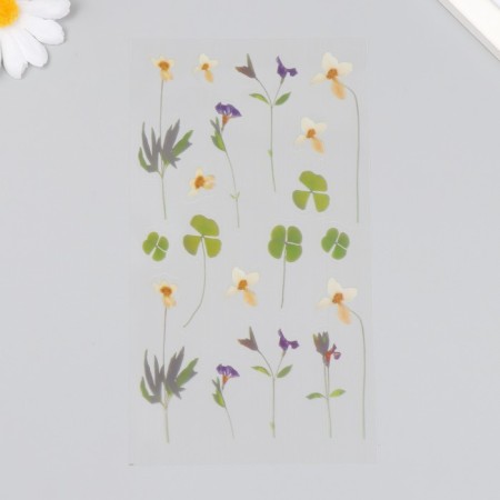 Stickers for creativity plastic "Multiple" 21x10.5 cm