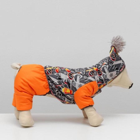 Options for animals "Print", fleece, XS (DS 18-20, Osh 24, OG 27-30 cm), mix-1