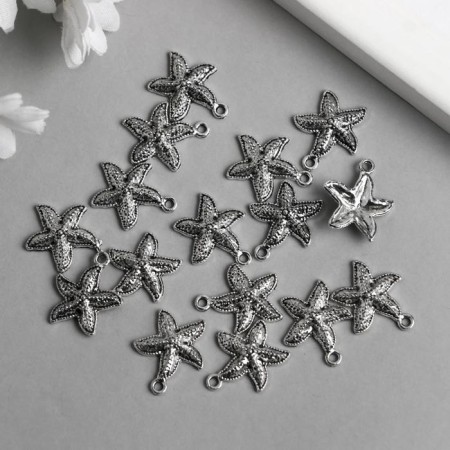 Decor Metal for creativity "Sea star" silver 1809 1.7x1.6 cm-2