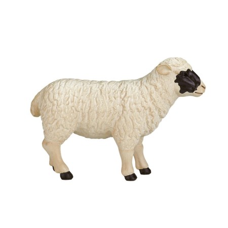 Figure Konik "Scottish black -headed sheep"-1
