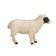 Figure Konik "Scottish black -headed sheep"