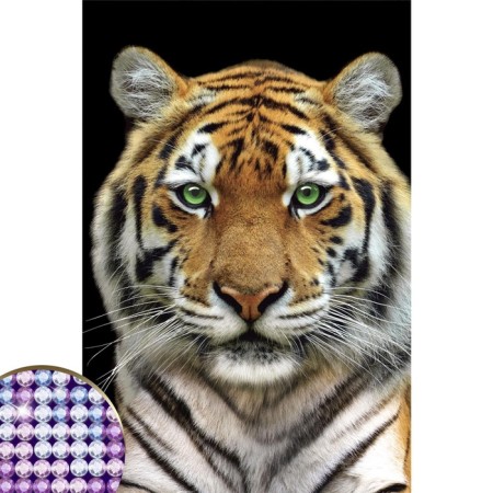 Diamond mosaic with partial filling "Tiger" 20 × 30 cm, on canvas-1