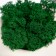 Concrete Kashpo "Skull" with moss 7x11 cm white (moss green stabilized)