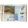All about dinosaurs