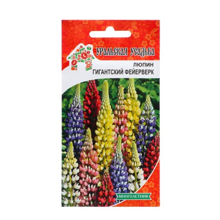 Flowers of Lupine "Giant Fireworks", 12 pcs,