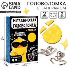 Metal puzzle 