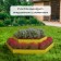 Glocked flowerbed, 2 tiers, d = 60–100 cm, h = 30 cm, yellow, Greengo