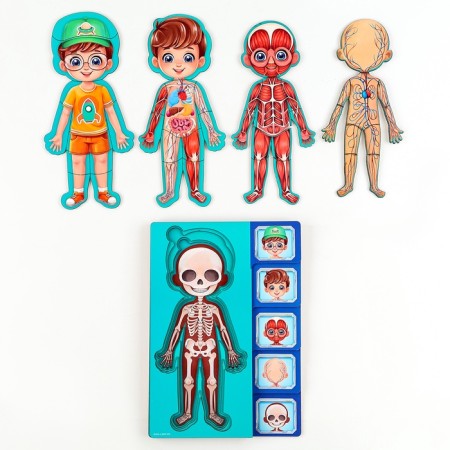 The training set "Human Body", a frame-laying frame and a book with stickers-8