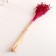 A set of dried flowers "Lenon-long", banch length 55-60 (+/- 6 cm), fuchsia