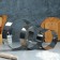 A set of baking forms and calculation "Circle", D-30, H-8.5 cm, 3 pcs