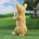 Garden figure "Begging Bulldog" 10x11x20cm