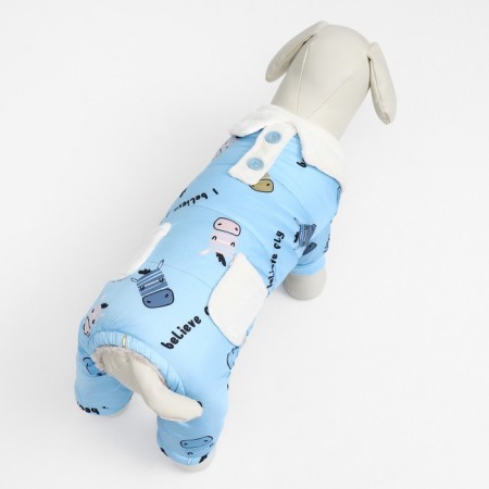Summarian "Metel", size XS (DS 20 cm, OG 30, Osh 21 cm), blue-3