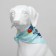 Animal scarf "Happy birthday", 15 x 12 x 1 cm, blue