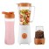 KITFORT KT-3055-1, stationary, 300 W, 1/0.6/0.15 l, 2 speeds, white-orange