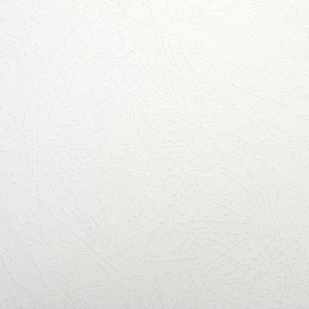 Cover for binding A4, 230 g/m2, 100 sheets, cardboard, white, embossing under the skin, Geleos-1