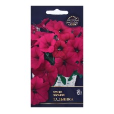 Seed Flower Petunia 
