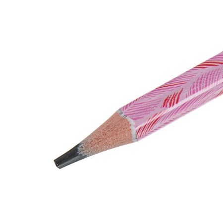 Chernographic pencil 3 mm Artgraphix. Fun "Flamingo", NV, three -sided, plastic case-1