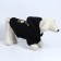 Folder Off-Dog for dogs (foot with a hose), size M (DS 29, Osh 38-42, OG 50-54), Black