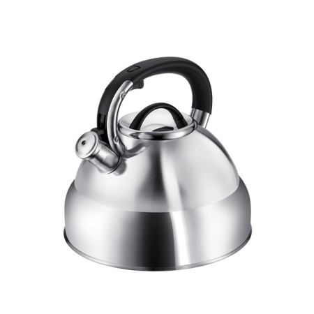 Teapot Regent Inox Tea, with a whistle, 5 liters-5