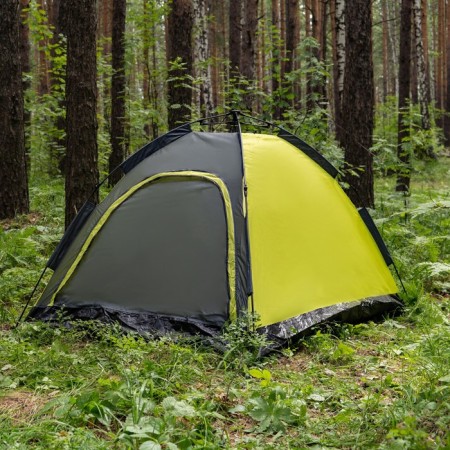 TART TALE, TRARKING MACLAY SWIFT 2, automatic, 2-seater-11