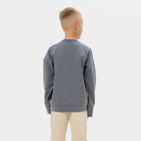 Svitshot for the boy Minaku: Casual Collection color gray, height 122-1