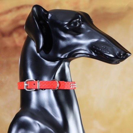 The collar of rivet with 2 rows of rivets, 33 x 1.2 cm, Osh 23-29, red-8