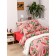 Bed linen 1.5 joint venture "Fig", size 145x215 cm, 145x215 cm, 70x70 cm - 2 pcs