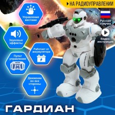Gardian robot, radio -controlled, gestures, light, sound, with a battery