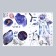 Interior color plastic sticker "Cosmonaut in outdoor space" 60x90 cm