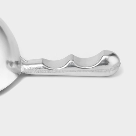Aluminum scoop, h = 31 cm-1