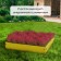 The flowerbed is galvanized, 50 × 50 × 15 cm, yellow, “quadro”, Greengo