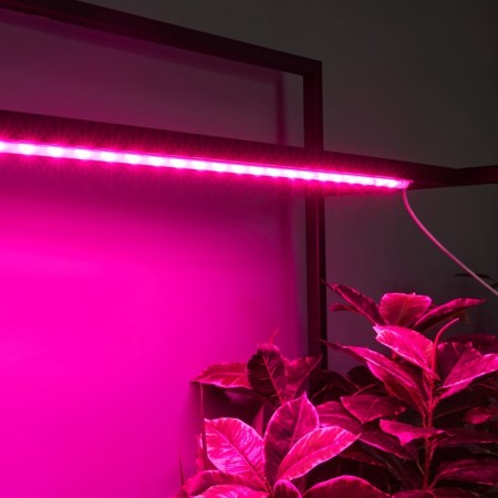 Lamp for plants LED linear, 900 mm Uniel, 14 W, LED, IP65, Color transparent-8