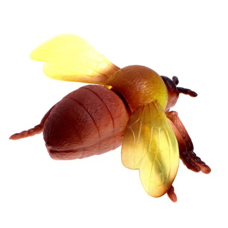 Animal set "Beetles and Spiders"-2
