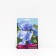 Iris Bearded "Babbleing Brooke", 1 pc, rr I, spring 2025