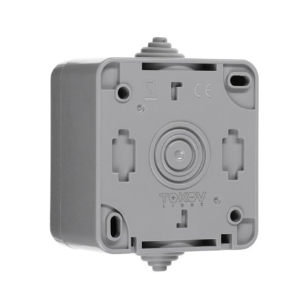 Switch 1-cl. OP DITA IP54 10A 250V with indication ser. Tokov Electric TKL-DT-V1I-C06-IP54 1040468-1