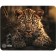Cactus Leopard, Gamery Computer Mouse, 250*200*3 mm, Fig. "leopard"