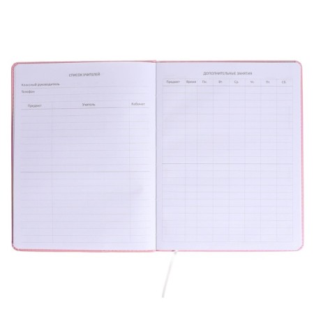 Universal diary for the 1-11 grade Donut CAT, hard cover, artificial leather, foam rubber, lies, 80 g/m2-5