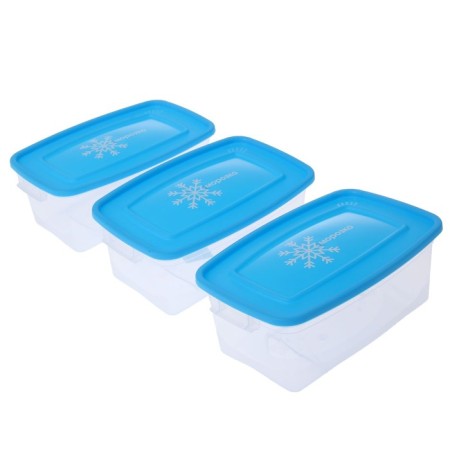 A set of rectangular containers for freezing Morozko products, 1 l, 3 pcs, color mix-8