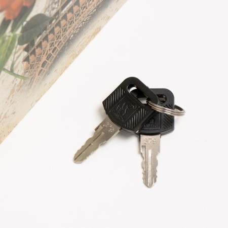Casket Book Plastic, Metal "Eiffel Tower and Red Peony" 5.5x12x18 cm-3