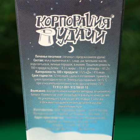 Sanding cookies with New Year's predictions "Snow Maiden", 14 g, 2 pcs-1