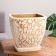 Flower pot "Perseus No. 2", 17 l, 31 x 31 x 32 cm