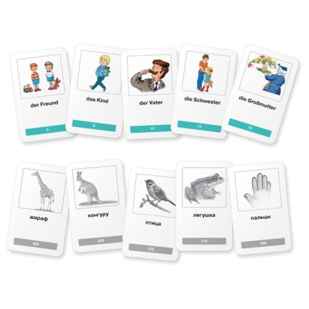 Thematic cards. My first German words. 333 cards for memorization-2