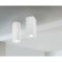 Ceiling light Technical C006CW-01W, GU10, 1x30 W, 70x70x170 mm, white