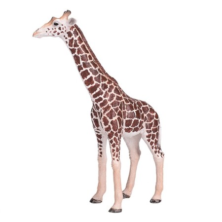 Figure Konik "Giraffe, male"-4